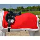 Hy Equestrian Christmas Santa Exercise Sheet