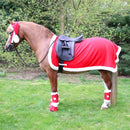  Hy Equestrian Christmas Santa Exercise Sheet