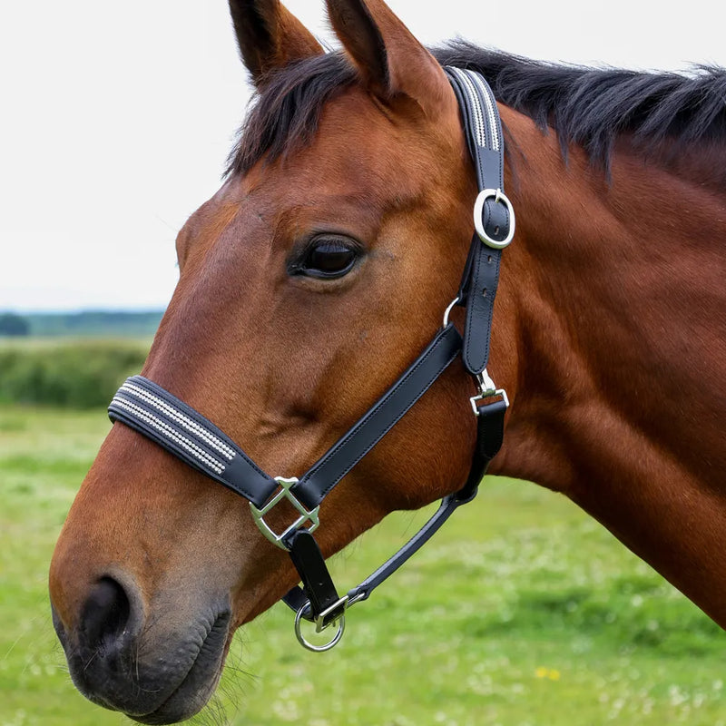 Hy Equestrian Anodize Leather Head Collar - Black/Silver