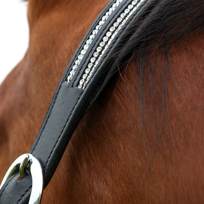 Hy Equestrian Anodize Leather Head Collar - Black/Silver