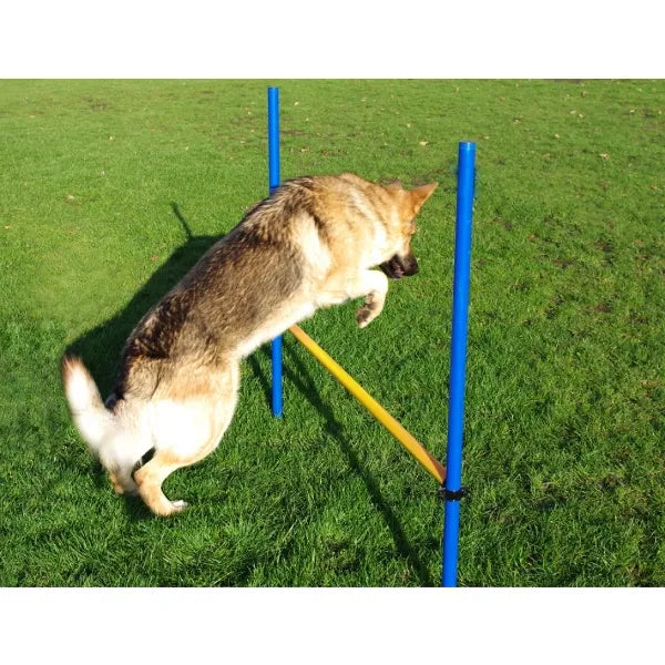 Agility Hurdle Jump