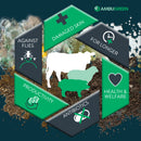 Nobacz Ambugreen Gel