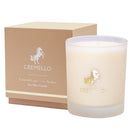 Cremello Coastal Cypress & Amber Candle