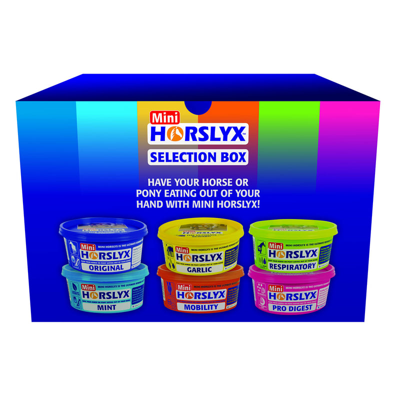 Horslyx Mini Selection Box