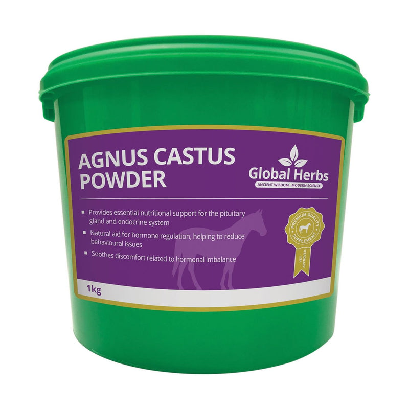 Global Herbs Agnus Castus Powder - 1 Kg