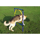 Agility Hood Jump - Jalex Pet Products  Agility Hoop Jump