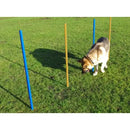 Agility Slalom Poles Pk5 - Jalex Pet Products  Agility Slalom Poles Pk5