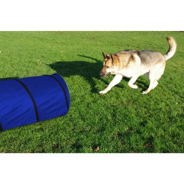 Agility Tunnel - Jalex Pet Products 