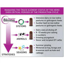 Agrimin All-Trace High Iodine for Cattle - Jalex Pet Products  Agrimin All-Trace High Iodine for Cattle