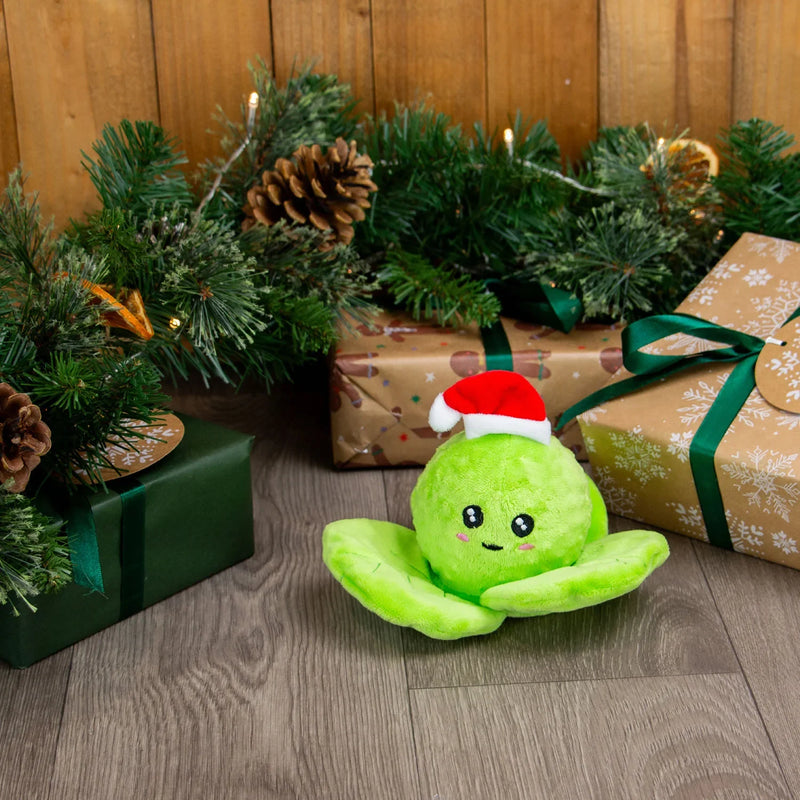 ANCOL BOUNCING SPENCER SPROUT - Jalex Pet Products 
