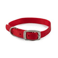 Ancol Viva Buckle Collar - Jalex Pet Products  Ancol Viva Buckle Collar