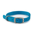 Ancol Viva Buckle Collar - Jalex Pet Products  Ancol Viva Buckle Collar