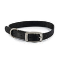 Ancol Viva Buckle Collar - Jalex Pet Products  Ancol Viva Buckle Collar