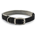 Ancol Viva Padded Buckle Collar - Jalex Pet Products  Ancol Viva Padded Buckle Collar