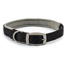 Ancol Viva Padded Buckle Collar - Jalex Pet Products  Ancol Viva Padded Buckle Collar