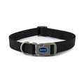 Ancol Viva Quick Fit Collar - Jalex Pet Products  Ancol Viva Quick Fit Collar