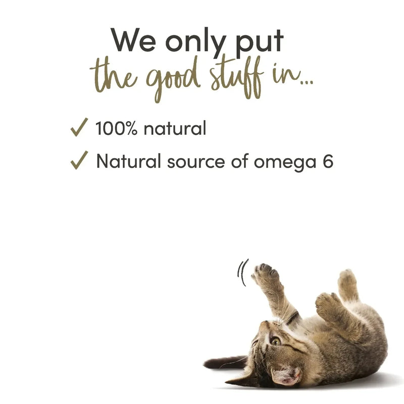 Applaws GF Cat Food Chicken with Duck in Gravy - 70g - Jalex Pet Products 