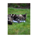 Battersea Catnip Kicker Fish - Jalex Pet Products 