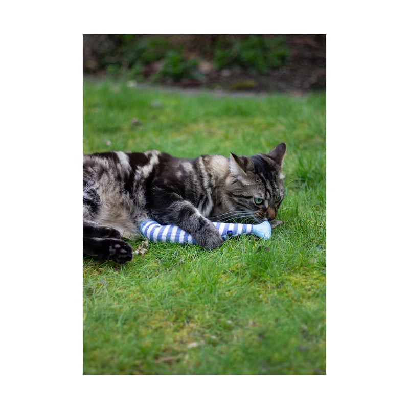 Battersea Catnip Kicker Fish - Jalex Pet Products 