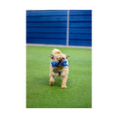 Battersea Rope Bone - Jalex Pet Products  Battersea Rope Bone
