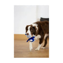 Battersea Rubber Belly Bear - Jalex Pet Products 