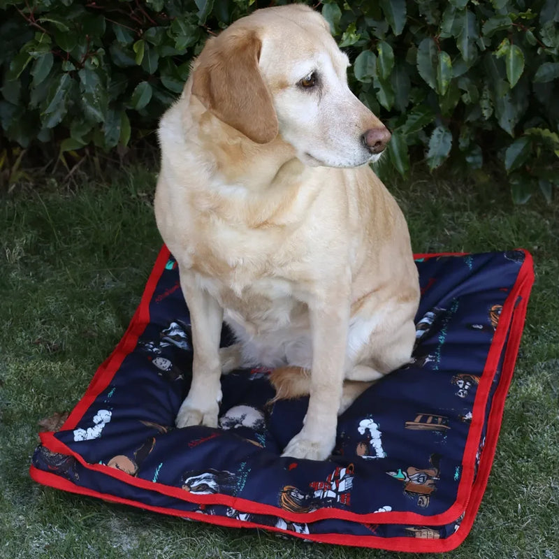 Benji & Flo Thelwell Collection Practice Makes Perfect Dog Bed - Jalex Pet Products 