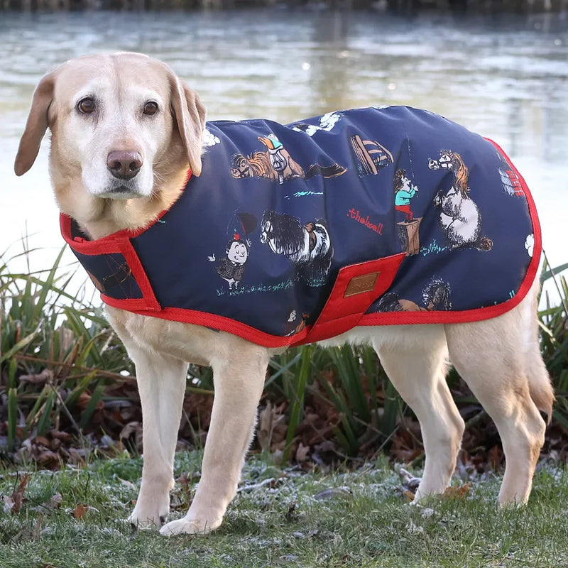 Benji & Flo Thelwell Collection Practice Makes Perfect Dog Coat - Jalex Pet Products 