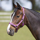 Bitz Everyday Adjustable Headcollar - Jalex Pet Products 