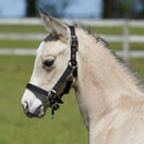Bitz Fully Adjustable Foal Slip - Black - Jalex Pet Products 