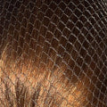 Bitz Hairnets - Heavyweight - Jalex Pet Products 