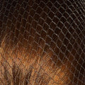Bitz Hairnets - Heavyweight - Jalex Pet Products 