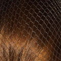 Bitz Hairnets - Standard Twinpack - Jalex Pet Products 