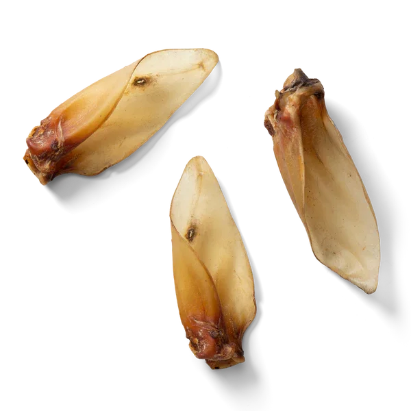 Buffalo Ear Large (with meat) 50 - Jalex Pet Products 