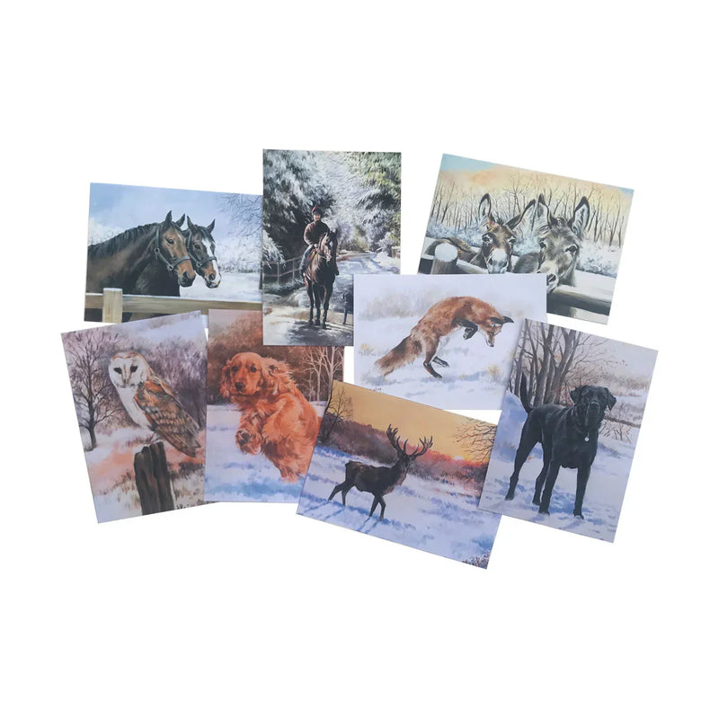 Caroline Cook Winter Collection - Pack of 16 - Jalex Pet Products 