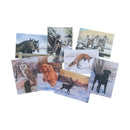 Caroline Cook Winter Collection - Pack of 16 - Jalex Pet Products  Caroline Cook Winter Collection - Pack of 16