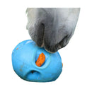 Carrot Ball - Jalex Pet Products 