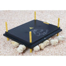 Chicktec Comfort 50 STD - Jalex Pet Products  Chicktec Comfort 50 STD