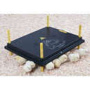 Chicktec Comfort 60 STD - Jalex Pet Products  Chicktec Comfort 60 STD