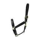 Coldstream Leather Padded Head Collar - Jalex Pet Products 