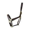 Coldstream Leather Padded Head Collar - Jalex Pet Products 