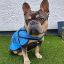 Easidri Cooling Coat - Blue - Jalex Pet Products  Easidri Cooling Coat - Blue