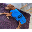 Easidri Cooling Coat - Blue - Jalex Pet Products  Easidri Cooling Coat - Blue