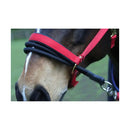 Ezyloader - Jalex Pet Products  Ezyloader
