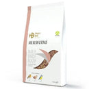 Henry Bell Mealworm 100g - Jalex Pet Products 