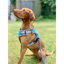 Henry Wag Dog Travel Harness - Jalex Pet Products  Henry Wag Dog Travel Harness