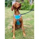 Henry Wag Dog Travel Harness - Jalex Pet Products  Henry Wag Dog Travel Harness