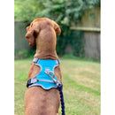 Henry Wag Dog Travel Harness - Jalex Pet Products  Henry Wag Dog Travel Harness