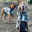 Henry Wag Drying Coat - Jalex Pet Products  Henry Wag Drying Coat