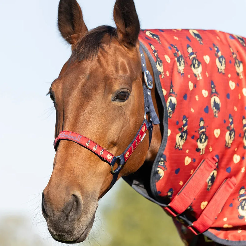 Hy Equestrian Thelwell Collection Balancing Act Head Collar & Lead Rope - Red/Navy - Jalex Pet Products 