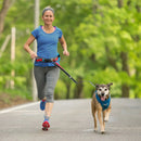 Kurgo Springback Lead - Jalex Pet Products  Kurgo Springback Lead